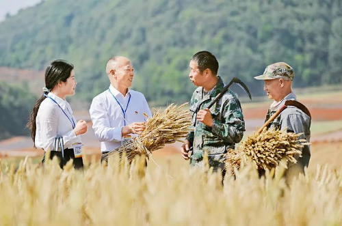 轉(zhuǎn)存圖片