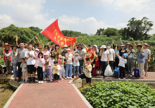 省直關工委活動花絮2023第三期_1