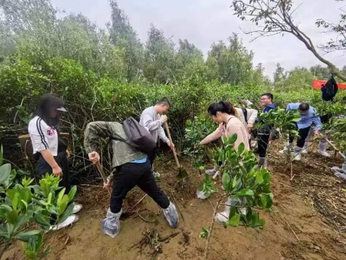 轉(zhuǎn)存圖片