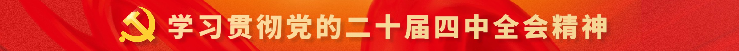 學習貫徹黨的二十屆四中全會精神
